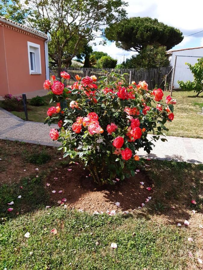 Appartement Independant A 10Min Des Plages Au Calme Proche O'Gliss Et O'Funparken Campagne La Jonchere Exterior foto